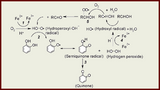 Oxidation of Phenolics